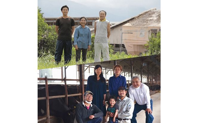 995.【和牛セレブ（12か月定期便）】鳥取県産牛ヒレステーキ2枚×12か月間 313726_BM026