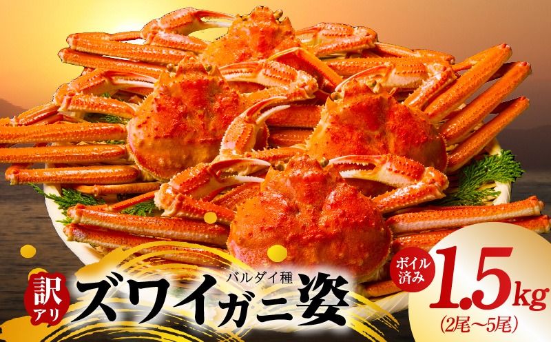 kgp0086 [訳あり規格]バルダイ種 ズワイガニ姿 1.5kg(2〜5尾)[ボイル済み オオズワイガニ かに カニ 蟹 ズワイガニ ファミリー向け]