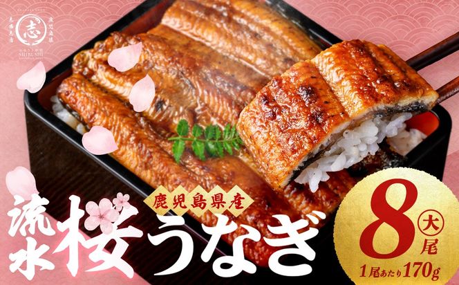 ＜入金確認後、2週間以内に発送！＞ 熟練の技が冴える！うなぎの柳澤 至極うなぎ蒲焼き8尾(計1360g) f0-023-2w