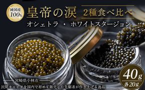 【純国産キャビア】皇帝の涙2種食べ比べ 計40g（オシェトラ・ホワイトスタージョン）国産 チョウザメ キャビア 食べ比べ