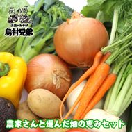 農家さんと選んだ畑の恵みセット　野菜詰め合わせ