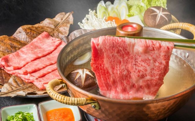 牛肉 しゃぶしゃぶ すき焼き 合計5kg 博多和牛 A4～A5 セット 500g×10パック 配送不可：離島 