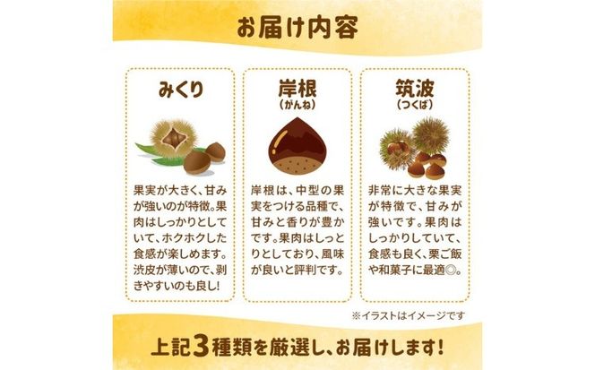 【R8年産】【先行受付】【数量限定】兵頭さん家の鬼北町産栗3kg ｜ 大粒 生栗 和栗 国産栗 地域限定 丹波栗 くり 栗 栗ご飯 生栗 果物 フルーツ 先行予約 数量限定 ※離島への配送不可 ※2026年9月上旬～10月下旬頃に順次発送予定