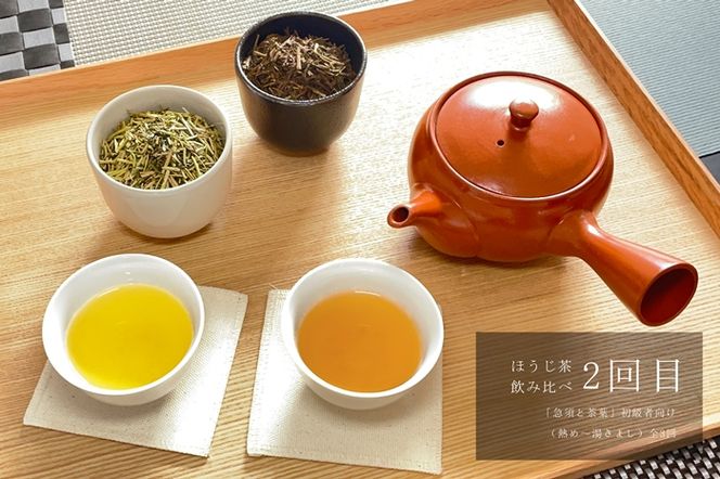 京都「プロ並み急須と茶葉セット」　初級者向け（熱め～湯さまし）全3回×3ヵ月コース〈定期便 お茶 茶 煎茶 緑茶 茶葉 雁が音 茎茶 焙じ ほうじ茶 急須 陶器 工芸品 セット〉 飲料類 加工食品 