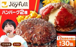 【全12回定期便】ジョイフル ハンバーグ スペシャル 詰め合わせ 2種 30個 セット《築上町》【株式会社　ジョイフル】[ABAA080]
