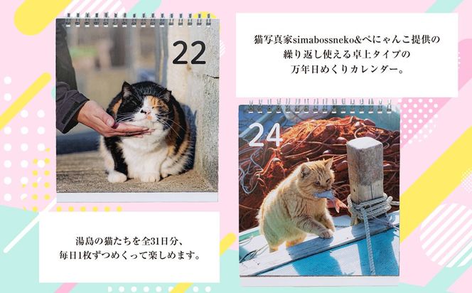 湯島ねこ募金 地域猫活動支援 【湯島猫部】ねこの島！湯島！ 「島ねこ日めくりカレンダーin湯島」 カレンダー 日めくり 日めくりカレンダー 猫 ねこ ネコ