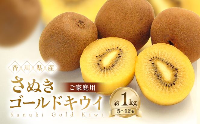 ご家庭用 さぬきゴールド キウイ 約1kg 香川県産 国産 フルーツ 果物