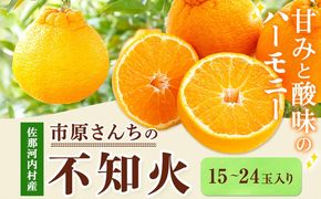 【CF】市原さんちの不知火(しらぬい)　1箱(15玉～24玉入り)　市原農園《3月中旬頃出荷予定》【配送不可地域あり】※離島 徳島県 佐那河内村 みかん 柑橘 フルーツ 果物 お取り寄せ プレゼント 送料無料 ---sanagouchi_ine_1_1hk---