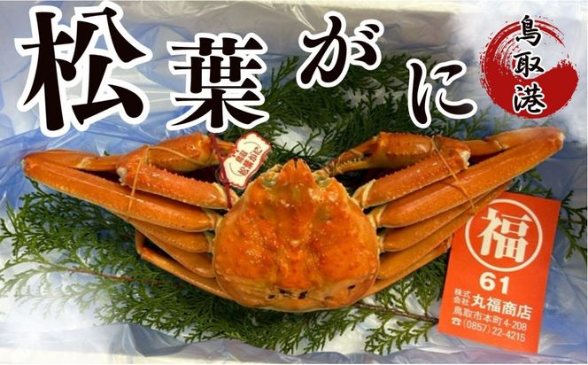 丸福商店社長厳選　鳥取港松葉ガニ 312011_FZ002