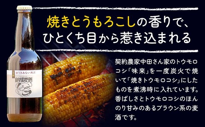 ビール ゆうきみらいエール 330ml × 3本 6本 株式会社結城麦酒《30日以内に出荷予定(土日祝除く)》茨城県 結城市 ビール 酒 エール クラフトビール 瓶 国産---yuki_mgi_20_3b---