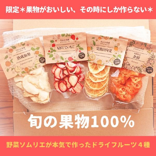 【旬の果物100％】果物好きのためのドライフルーツ おためし4種セット