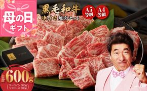 G3633m 【母の日】黒毛和牛A5/A4等級 切り落とし 味付き 焼肉セット 600g（サーロイン 300g／リブロース 300g） ギフト プレゼント に最適