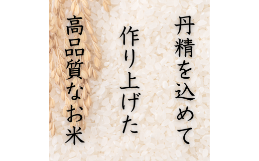 和歌山県産 キヌヒカリ 10kg (2026年産)  / 産地直送 米 こめ ご飯 ごはん ※9月上旬より順次発送予定 【sml400-kinu-10E】