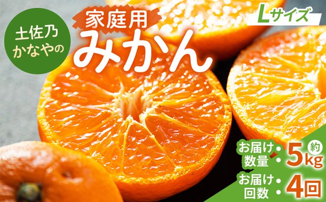 みかん 定期便 4回 土佐乃かなやの家庭用みかん5kg(Lサイズ)×4回 合計20kg - 定期便 数量 国産 早生みかん 極早生みかん グリーンみかん 蜜柑 ミカン 柑橘 果物 Wbe-0123