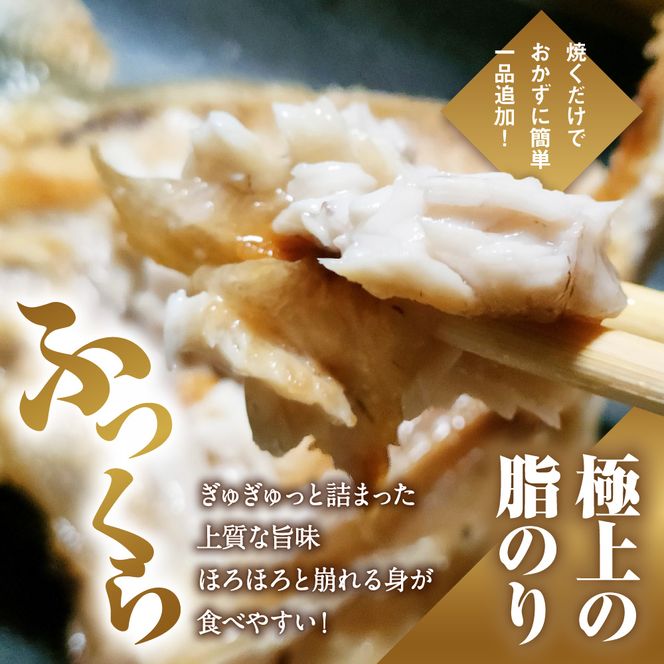 数量限定 ブリカマ 2.5kg 10000円 冷凍 サイズ 不揃い ぶりかま ぶりカマ 鰤かま 食べ物 旬 お手軽 魚海鮮 魚介 父の日 小分け 真空 パック 新鮮 鮮魚 養殖 国産 鰤 ぶり ブリ お取り寄せ ギフト プレゼント おつまみ アテ おかず カマ 塩焼き 煮物 あらだき あら煮 肉 厚 規格外 人気 ハマスイ 愛南町 愛媛県