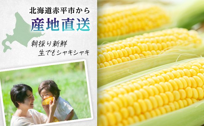 向井さんが作ったとうもろこし ゴールドラッシュ 朝もぎ直送［Lサイズ10本］※8月下旬より順次出荷 先行予約 野菜 朝採り 生 野菜 産地直送 ジューシー 焼きとうもろこし コーンスープ BBQ