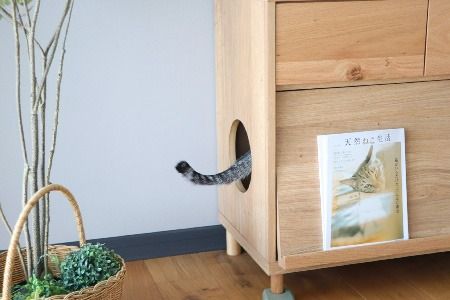 【東馬家具】TRM018 のぞきみチェスト【天然木 ナチュラルデザイン 収納アイテム 猫 匂い防止 マガジンラック 普段使い キュート 完成品 脚のみ取付】(H060615)