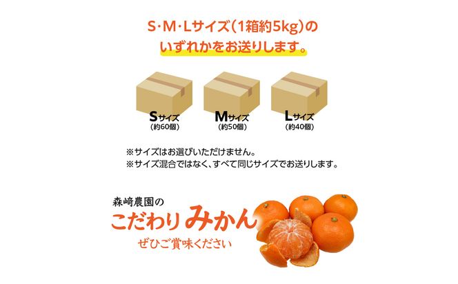 【C09023】森﨑農園のこだわりみかん 約5kg 極早生～ 早生～蔵出しまで