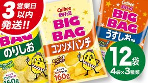 【最短3営業日！スピード発送】 カルビー ポテトチップス BIGBAG 160g 3種 各4袋セット (計 12袋 ) うすしお ・ のりしお ・ コンソメパンチ ポテチ お菓子 おかし 大量 スナック おつまみ ジャガイモ じゃがいも まとめ買い 数量限定