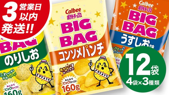 【最短3営業日！スピード発送】 カルビー ポテトチップス BIGBAG 160g 3種 各4袋セット (計 12袋 ) うすしお ・ のりしお ・ コンソメパンチ ポテチ お菓子 おかし 大量 スナック おつまみ ジャガイモ じゃがいも まとめ買い 数量限定