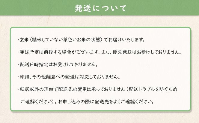 【令和7年産】米 玄米 コシヒカリ 5kg(5kg×1袋) 国産 ご飯 茨城県 境町産 人気 S278