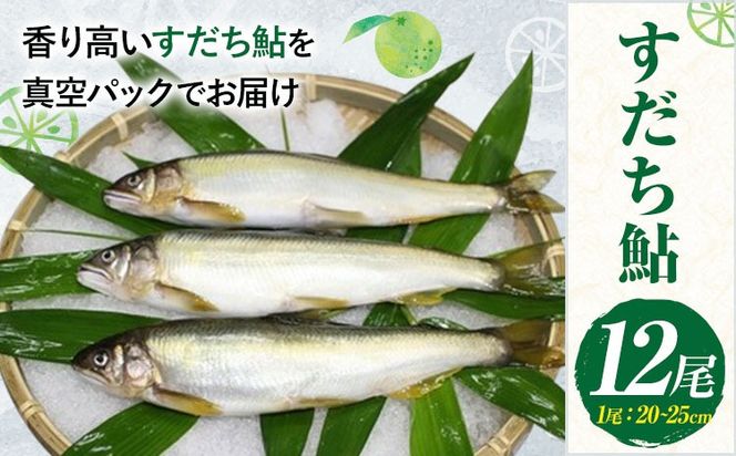 すだち鮎 12尾 冷凍 有限会社岩崎商店 《30日以内に出荷予定(土日祝除く)》│1尾あたり20～25cm 徳島県産 あゆ アユ 魚 魚介 川魚 塩焼き 甘露煮 徳島県 佐那河内村---sanagouchi_ist_2_12bi---