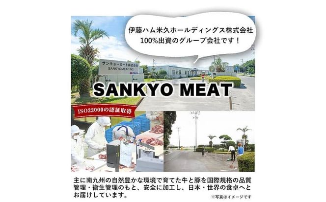 鹿児島県産黒毛和牛肩ロース焼肉用 (計600g・300g×2P) a4-114