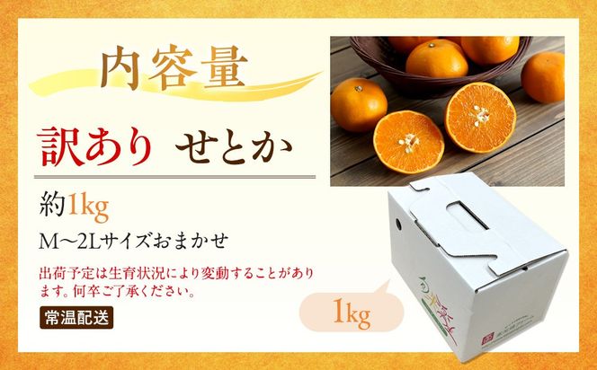 訳あり せとか 1kg M～2Lサイズおまかせ 高石垣ファーム  K011 