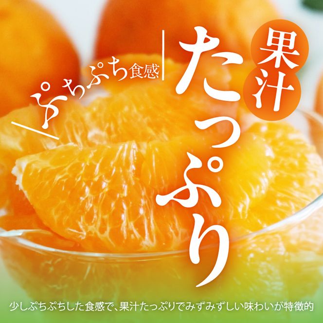 MK1017_不知火 (しらぬい) とにかく小玉 箱込 5kg (内容量約4.4kg) 秀品 優品 混合