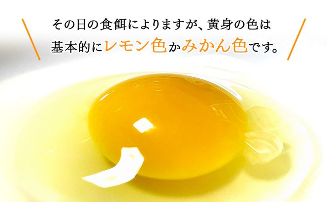 卵 こだわり餌の平飼い鶏の卵 10個パック(有精・無精卵各5個)Mサイズ以上 鶏卵 たまご 平飼い