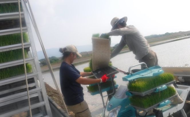 定期便 3回 米 5kg 季節野菜 セット 精米 ゆめつくし お米 詰合せ 上白米 低温保存米 お野菜セット 