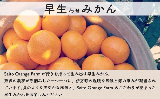 【先行予約】Saito Orange Farmの早生（わせ）みかん10kg （2026年11月下旬頃より順次発送予定） IKTAQ021
