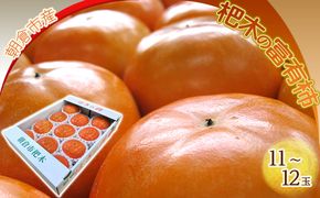 柿 富有柿 11～12玉 ファームステーションバサロ 果物類 かき 