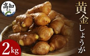 生姜一筋70年の生姜老舗問屋 黄金しょうが2kg - 生姜 生産量日本一 おかず お料理 しょうが 料理 飲み物 Xnb-0007