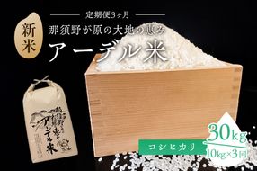 ns061-002 【令和6年産米】『定期便3ヶ月』那須野が原の大地の恵み アーデル米（コシヒカリ1袋10kg）＜出荷開始：2024年10月下旬～＞