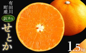 みかん の大トロ せとか 1.5kg 訳あり ブランド 和歌山 有田みかん 農家直送 オレンジ フルーツ 果物 	CE043
