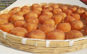 甘さが違う！とっても甘くなる生渋柿（平たねなし柿）あんぽ柿用 T軸枝無 約1.5～2kg　6～12玉＜2026年10月中旬～順次発送＞【art018B】