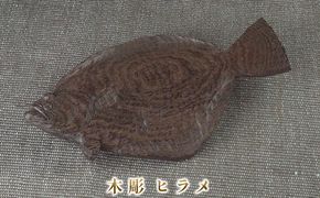 木彫 ヒラメ インテリア 工芸品 