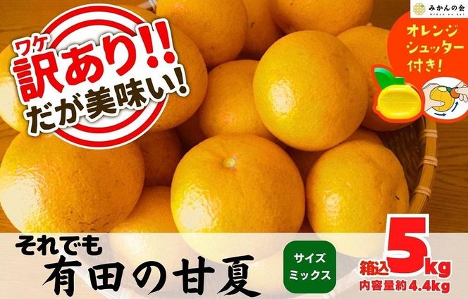 訳あり それでも 甘夏 箱込 5kg (内容量約4.4kg)  サイズミックス 産地直送 家庭用 皮むき器付き［みかんの会］ AX259
