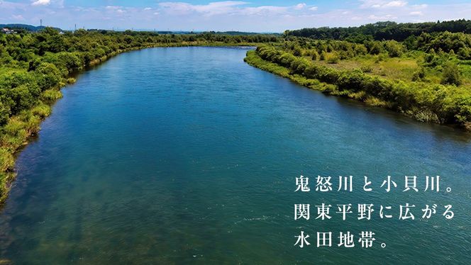 ＼ 選べる内容量 ／【 無洗米 】令和7年産 新米 コシヒカリ 5kg/10kg 茨城県つくばみらい市産 時短 手軽 粘り 甘み 茨城 こしひかり 令和7年