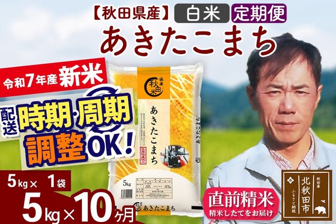 ※令和7年産 新米※《定期便10ヶ月》秋田県産 あきたこまち 5kg【白米】(5kg小分け袋) 2025年産 お届け時期選べる お届け周期調整可能 隔月に調整OK お米 みそらファーム|msrf-10310