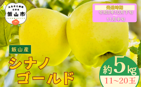 【先行予約丨2026年10月下旬より順次発送】シナノゴールド【約5kg (11〜20玉)】(At-015)丨長野県 飯山市 おすすめ ランキング おいしい 高評価 大人気 先取り 産地直送 りんご
