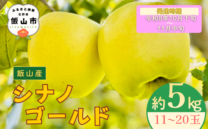 【先行予約丨2026年10月下旬より順次発送】シナノゴールド【約5kg (11〜20玉)】(At-015)丨長野県 飯山市 おすすめ ランキング おいしい 高評価 大人気 先取り 産地直送 りんご
