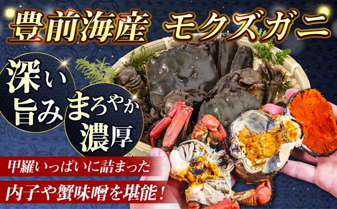 【先行予約】【2026年11月下旬以降順次発送】新鮮 活モクズガニ 1kg (5〜12杯前後) オス メス セット《築上町》【明青丸】 蟹 カニ カニ味噌[ABCB005]