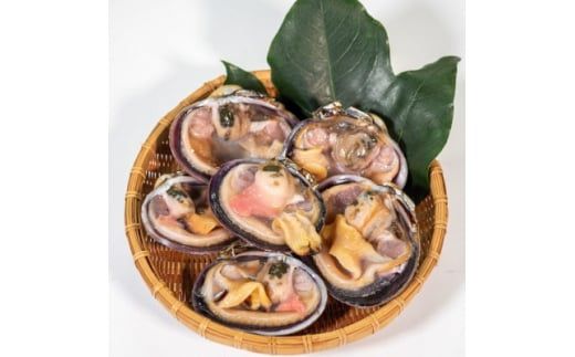 愛知県三河湾産の秀品天然大あさり 希少なXXLサイズ5～7切入(約1kg)＜CAS冷凍/下処理済＞