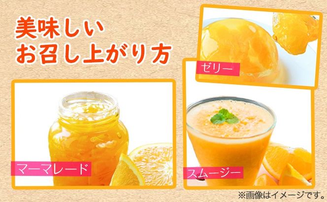 ＜先行予約＞初夏のみかん なつみ 約3kg 株式会社 魚鶴商店《2027年4月中旬-4月下旬頃出荷》 和歌山県 日高町 みかん なつみ 南津海 柑橘 果物 フルーツ 送料無料---wsh_uot138_4c4g_25_11000_3kg---