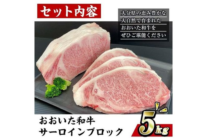 おおいた 和牛 サーロイン ブロック (5kg) 国産 豊後牛 ステーキ BBQ バーベキュー 惣菜 やきにく おかず 百年の恵み 大分県 佐伯市【BD192】【西日本畜産 (株)】