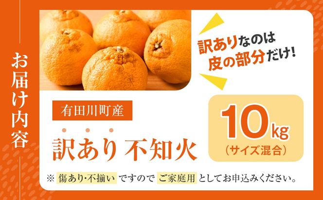 不知火(しらぬい) オレンジ みかん 訳あり 10kg サイズ混合 CE012