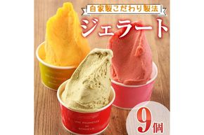 【I-2】＜先行予約受付中！2025年7月から順次発送予定＞自家製こだわり製法！自家製ジェラート(9個)【ミツル・プラス】