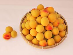 紀州南高梅10kg（3Lサイズ）［梅干づくり用］ 304018_AV25